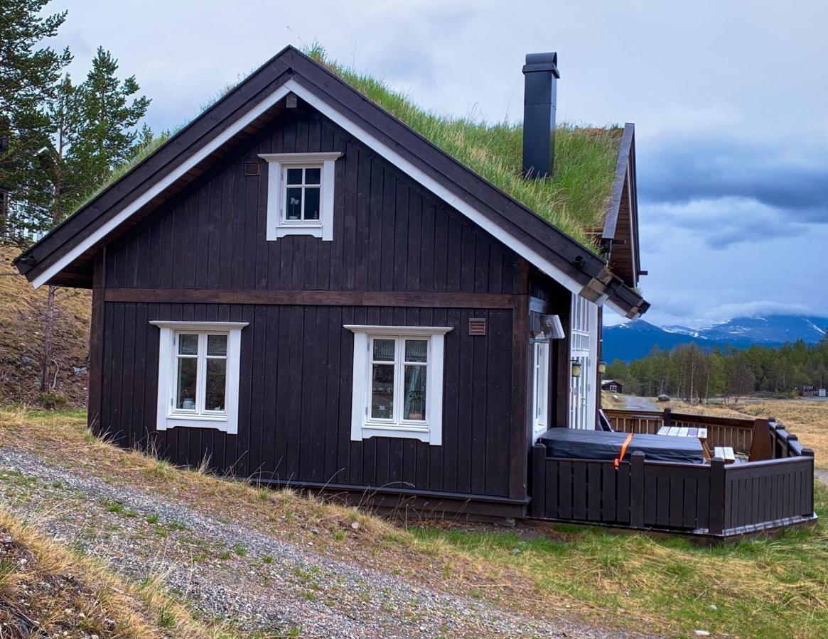 Stuttgongfossen Lemonsjoen-Jotunheimen-Besseggen 빌라 외부 사진