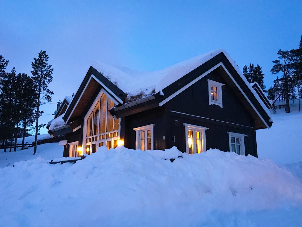 Stuttgongfossen Lemonsjoen-Jotunheimen-Besseggen 빌라 외부 사진