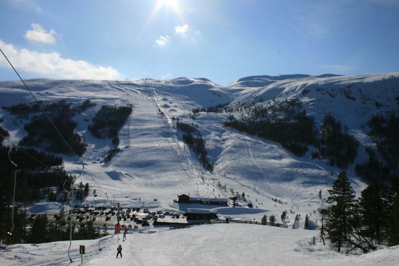 Stuttgongfossen Lemonsjoen-Jotunheimen-Besseggen 빌라 외부 사진